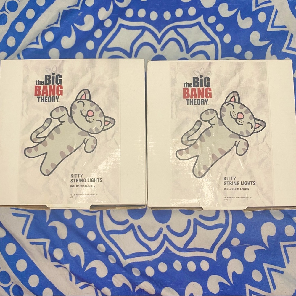 The Big Bang Theory Soft Kitty string lights